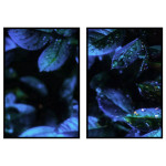 Exotic Blue Plants with Raindrops - Blue Two Piece Poster Set