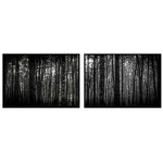 Dark Forrest with Tons of Trees - Two Piece Poster
