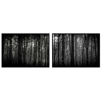 Dark Forrest with Tons of Trees - Two Piece Poster