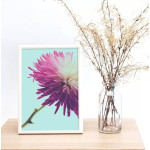 Rosa Blomma - Enkel turkos retro poster