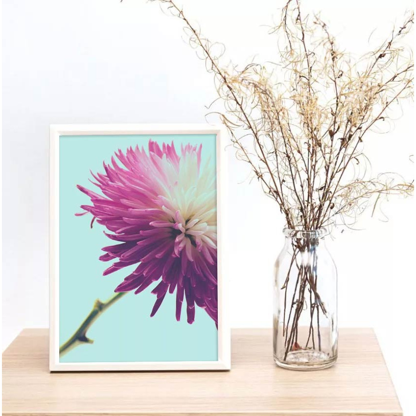 Rosa Blomma - Enkel turkos retro poster