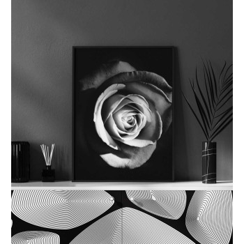 Ros i mörker - Svartvit poster