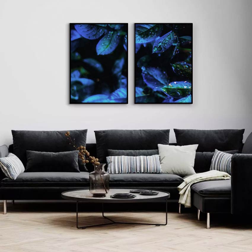 Exotic Blue Plants with Raindrops - Blue Two Piece Poster Set