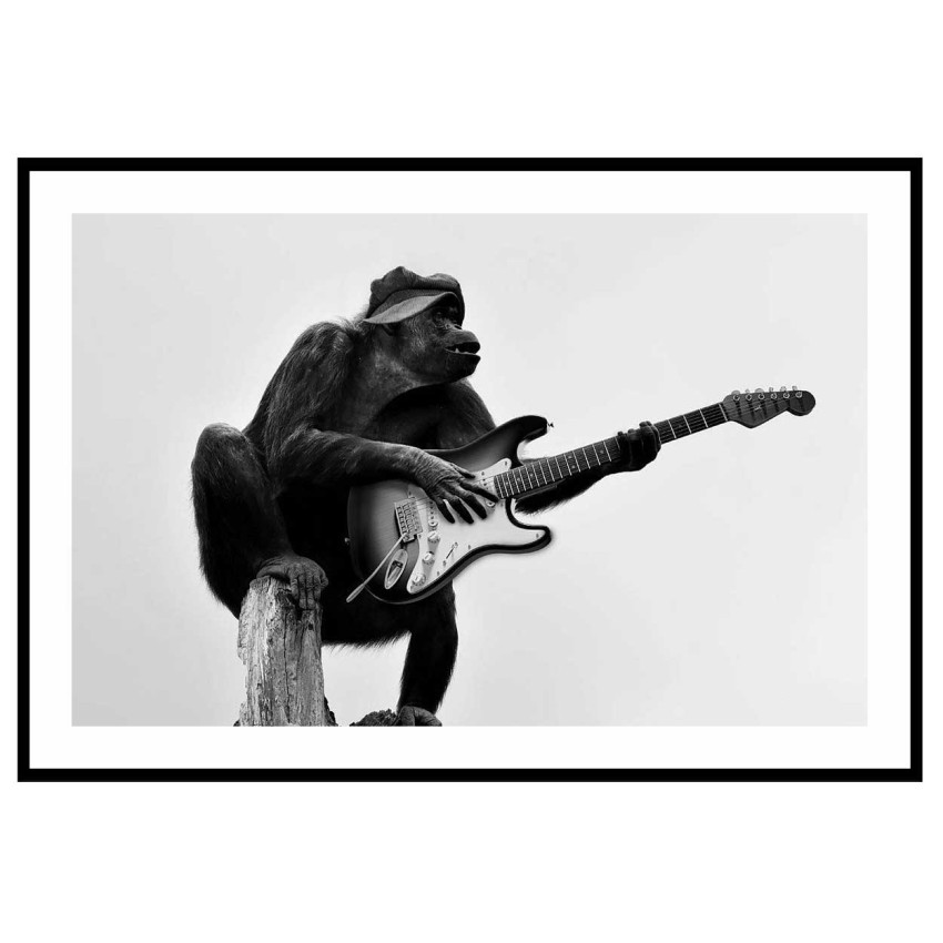 Musik poster - Apa spelar gitarr