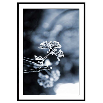Grenar med Frost - Poster med Vinterbild