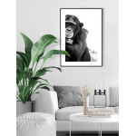 Schimpans - Trendig djurtavla i svartvitt
