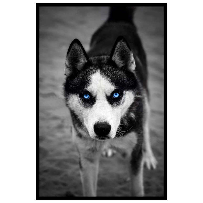Abstract doggy - Black and white poster
