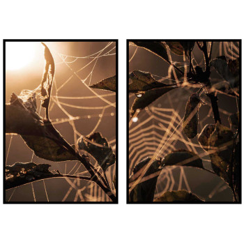 Abstrakt vår natur - Perfect pair poster set