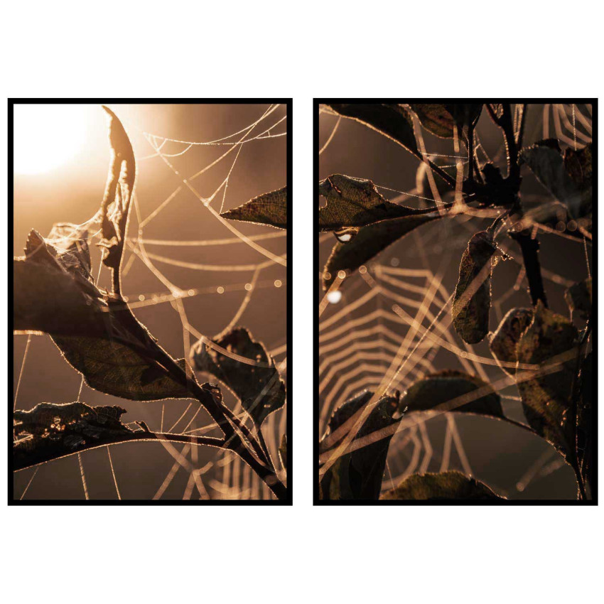 Abstrakt vår natur - Perfect pair poster set