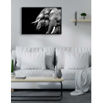 Elefanter familj - Svartvit poster