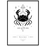 Zodiac Cancer posters - SwedeArts