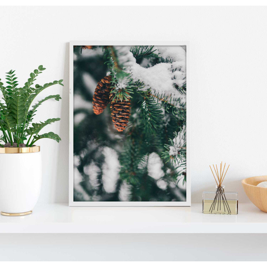 Kottar på gran med snö - Naturposter