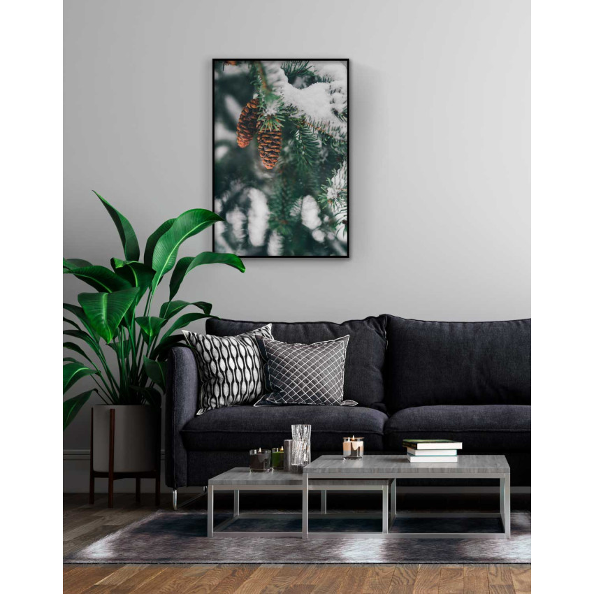 Kottar på gran med snö - Naturposter