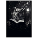 Klok nattuggla med bok - Svartvit poster