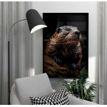 Brown beaver - Animals poster