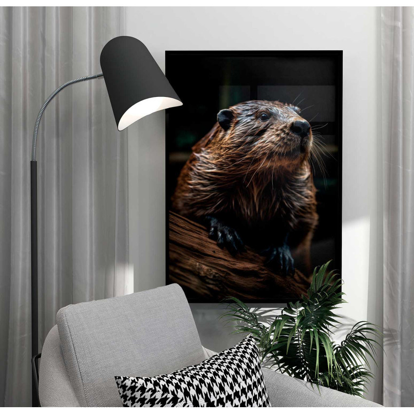 Brown beaver - Animals poster