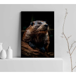 Brown beaver - Animals poster