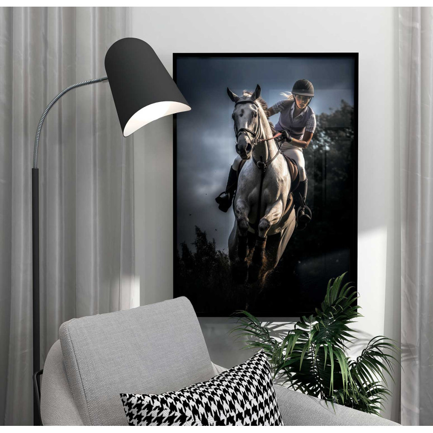 Girl on white horse - Animal action poster