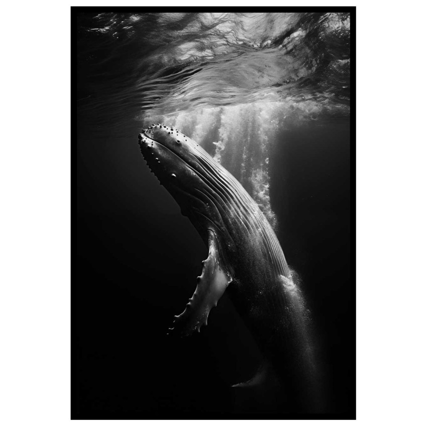 Knölval - Abstrakt & elegant poster