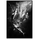 Hajar - Abstrakt & elegant poster