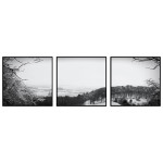 Vinterlandskap i Svartvitt - Tredelad Poster