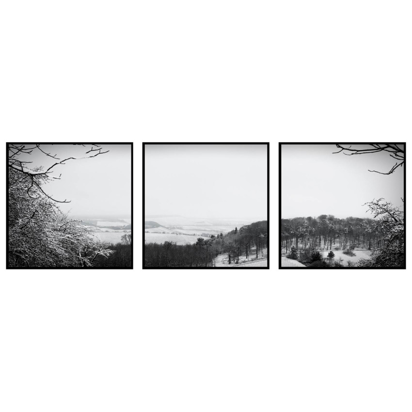Vinterlandskap i Svartvitt - Tredelad Poster