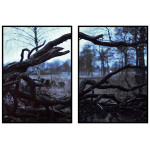 Cold Springday in the Swedish Forest - Two Piece Poster