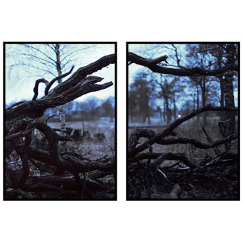 Kall v&aring;rdag i den Svenska skogen - Tv&aring;delad poster