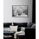 Träd i vinter - Svartvit Poster