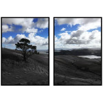 Stort träd och blå himmel - Tavla i två delar