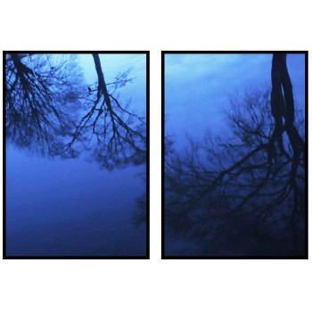 Trees reflection in the water - Two piece poster set