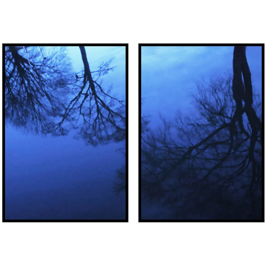 Tr&auml;d speglas i vattnet - Tv&aring;delat motiv