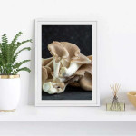 Kantareller svamp - Elegant k&ouml;kstavla