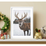 R&aring;djur i sn&ouml;n - Djurtavla