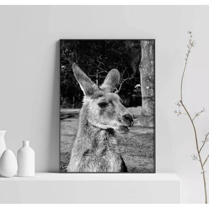 Kangaroo - Black and white poster