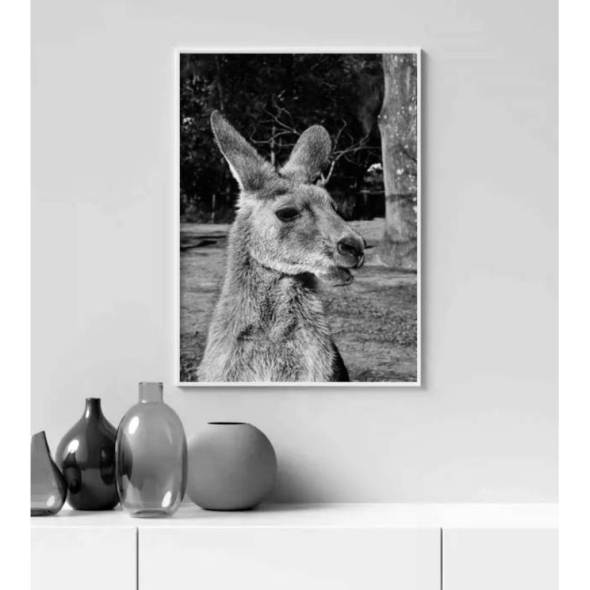 Kangaroo - Black and white poster