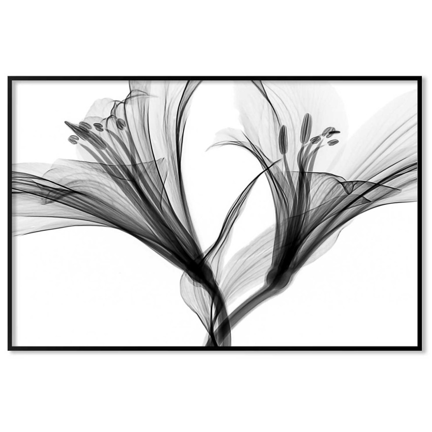 Simple flower - Black and White Poster
