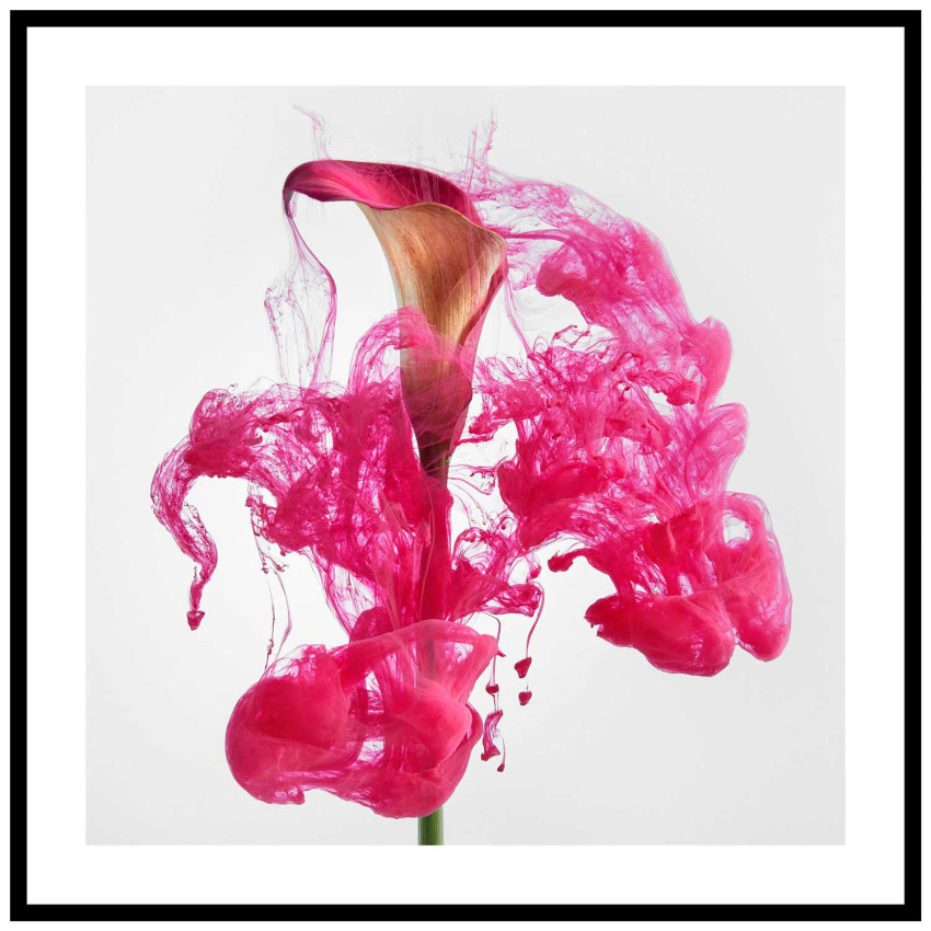 Pink abstract flower - Square poster