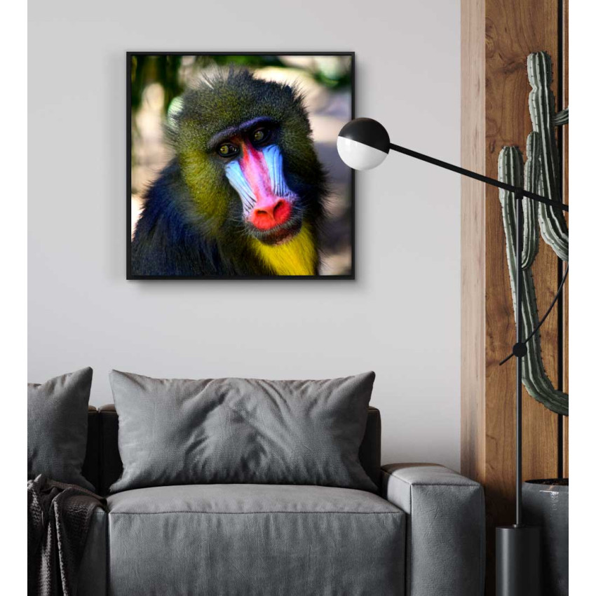 Colorful monkey square poster