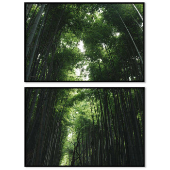 Green leaves with black background - Poster in two pieces