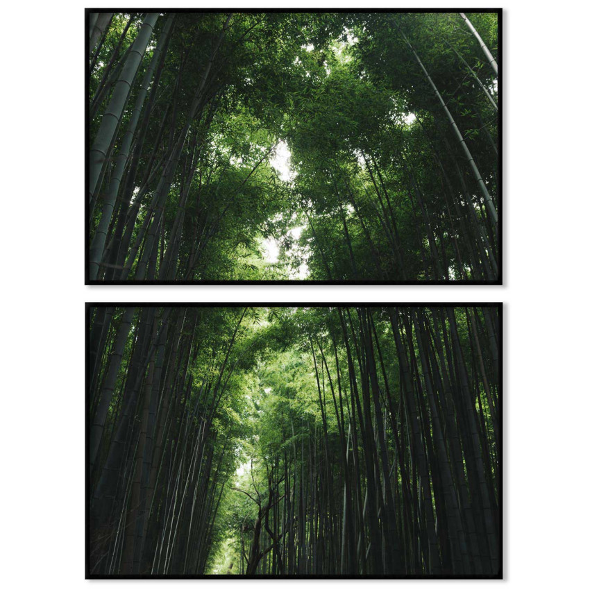 Bambuträd - Grön tvådelad tavla