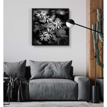 Vita blommor - Svartvit kvadratisk poster