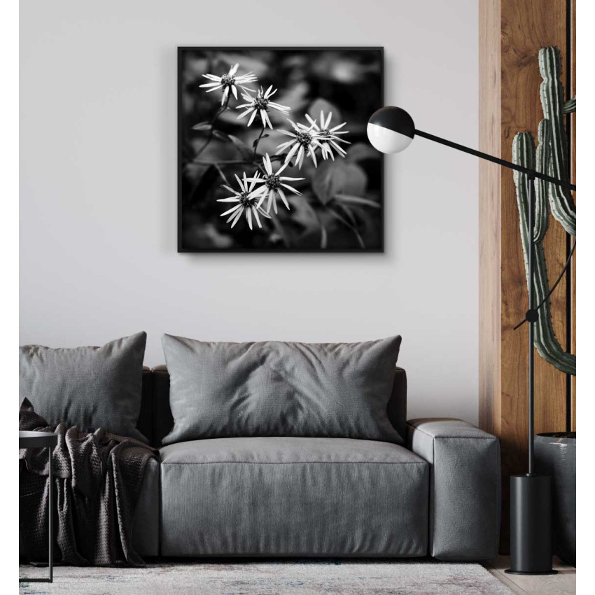 Vita blommor - Svartvit kvadratisk poster