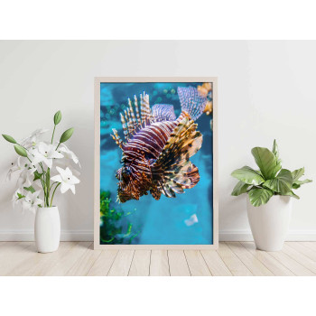 Drakfisk - Elegant exotisk poster