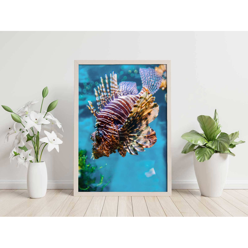 Drakfisk - Elegant exotisk poster