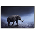 Elefant i m&ouml;rker - Djurtavla