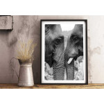 Par av elefanter - Djurtavla