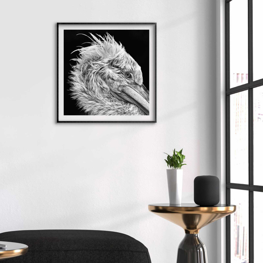 Trana - Svartvit kvadratisk djurtavla