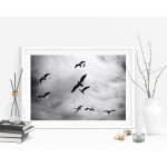 Fåglar bland molnen - Svartvit poster