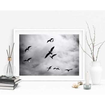 Fåglar bland molnen - Svartvit poster